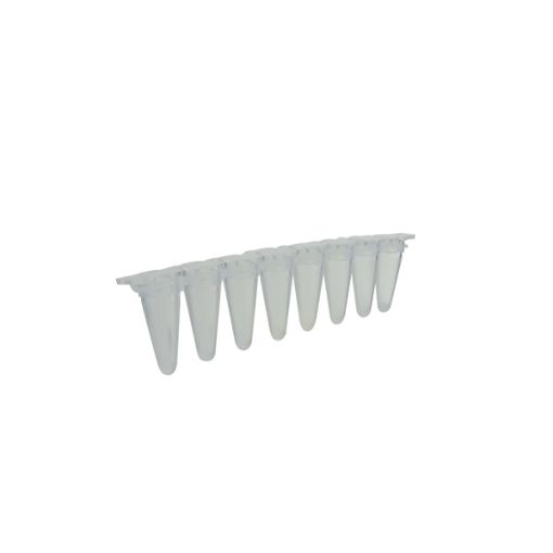 Bild på qPCR tube strips, natural colour, 0,1 ml, 120 pcs