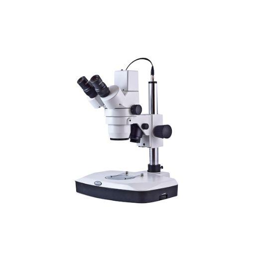 Bild på Digital stereo microscope MOTIC DM-143-FBGG-C, EU plug