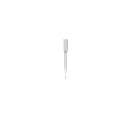 Bild på Filter pipette tips in bag, 100 µl, Premium Line, 1000 pcs