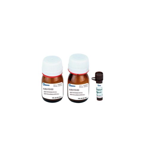 Bild på XTT Cell Proliferation Assay Kit, 500 rxn