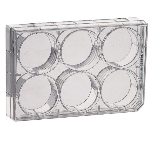 Bild på Sterile culture multiwell plates, 6 wells, 2 x 50 pcs
