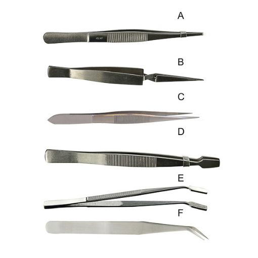 Bild på Laboratory forceps, fine tips, bent, stainless steel, 2 pcs